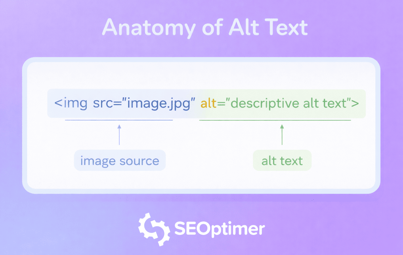 Alt text anatomi